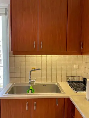 a kitchen sink with a green faucet at Ageliki's Athens Apartment in Athens