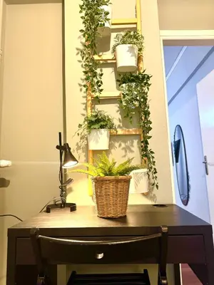 a desk with a lamp and plants on a wall at Athens City Themis 12 in Athens