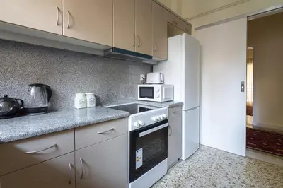 a kitchen with a stove and a microwave at Bright and Spacious 2-bedroom Apartment in Athens in Athens