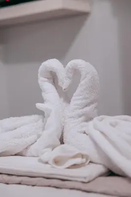 two towel swans sitting on a pile of towels at Acropoli's balcony in Athens