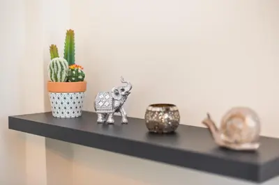 a shelf with a figurine of an elephant and a cactus at Drakou Studio in Athens