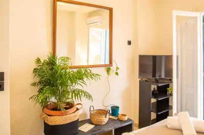 a living room with a mirror and a table with a plant at Mosaics central studio apartm with Acropolis view in Athens