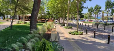 a park with a bench and trees and a street at Seaside Nestie by BluPine in Athens