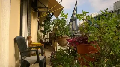 a balcony filled with potted plants and a window at PRIVATE BEDROOMS IN SHARED APARTMENT 135 SM ATHENS Center in Athens