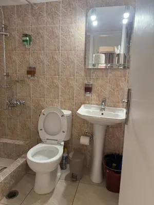 a bathroom with a toilet and a sink at Pagrati apartment Διαμέρισμα Παγκράτι in Athens