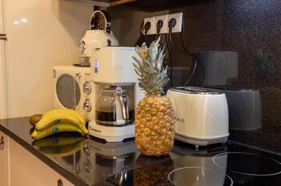 a pineapple sitting on top of a counter next to a blender at MS APARTMENT in Athens
