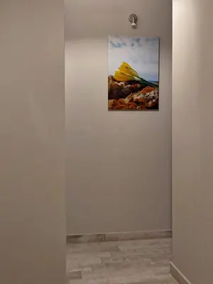 a painting of a yellow flower on a wall at Seaview-Apartments in Palaiá Fókaia