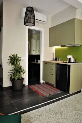 a kitchen with green cabinets and a potted plant at Central urban studio B in Athens
