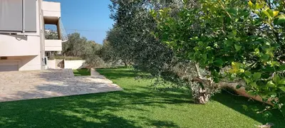 a green yard with a tree next to a building at Gianni & Sophia airport house in Artemida