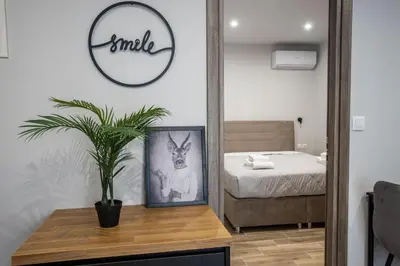 a room with a potted plant on a table with a mirror at Raise Averof Serviced Apartments in Athens
