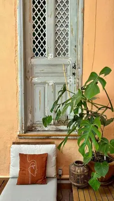 a window and a couch with a pillow and a plant at Baloo Hostel in Athens