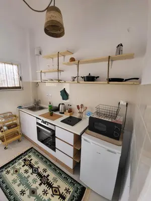 a small kitchen with a stove and a microwave at Viva La Veranda Apartment in Central Athens in Athens