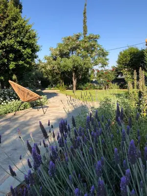 a bench in a garden with purple flowers at Villa-Agave , by the sea in Porto-Rafti outside Athens in Porto Rafti