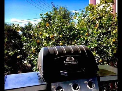 a toaster sitting on a table in front of an orange tree at ATHENS RIVIERA Grand Panoramic Villa Lagonissi in Lagonissi