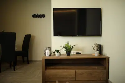 a flat screen tv on a wall with plants on a table at Le Centre Ville in Athens
