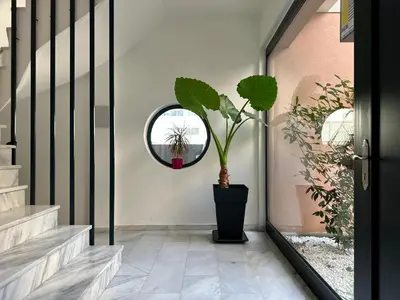 a hallway with a mirror and a potted plant at M & M - boutique apartments in Athens