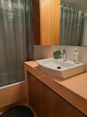 a bathroom with a white sink and a shower at Athens Christina's Acropolis Apartment in Athens
