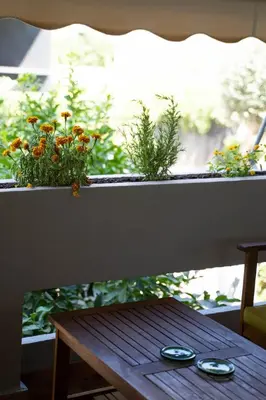 a table sitting on a balcony with plants on it at AthensBlues Glyfada Premium in Athens