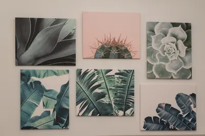a group of four pictures of plants on a wall at MEDLUXE BUSINESS Apartment in Athens