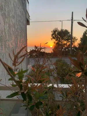 a sunset seen from a garden with plants at Saronida beach apartments kids and pets friendly in Saronida