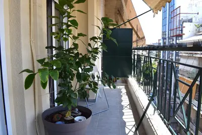 a plant in a pot on a balcony at Bright & Cozy 1BR in Athens city center in Athens