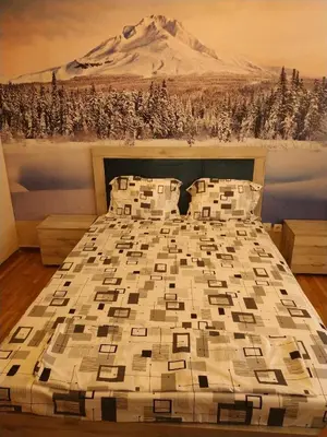 a bedroom with a bed with a snow covered mountain at LG apartment bnb in Athens