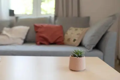 a potted plant sitting on a table in front of a couch at Vasiliki's House in Porto Rafti