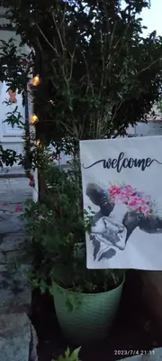 a plant in a pot with a welcome sign on it at Secret Garden Home Lagonissi Attiki in Foinikiá