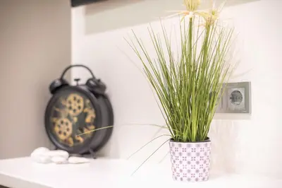 a clock sitting on a counter next to a potted plant at Panathenaic Stadium By Greece Apartments in Athens