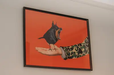 a picture of a bird sitting on a persons hand at Sweet Dreams 2 Bedroom VIPGreece in Athens