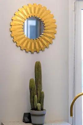 a mirror hanging on a wall next to a cactus at Luxury Penthouse in prime central Athens Thissio by GHH in Athens