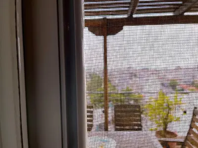 a window with a view of a plant at The Best Penthouse View -Sea View Athens Reviera & SNFCC in Athens