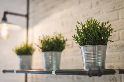 three potted plants in metal buckets on a shelf at Stylish 1BR apartment in the heart of Koukaki in Athens
