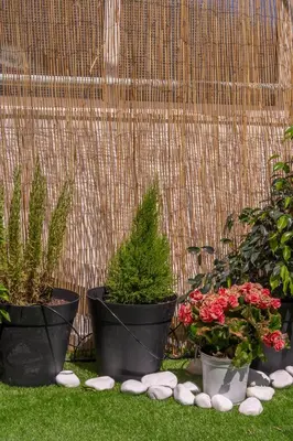 a group of potted plants sitting on the grass at 2 Bedroom condo with dream balcony in Athens