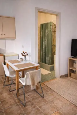 a kitchen with a table and chairs and a shower at Cozy apartment in Peania (near Airport) in Paianía