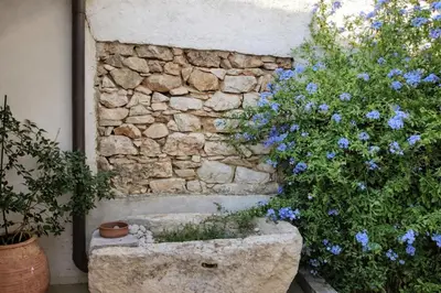 a stone wall with blue flowers in a stone planter at Cozy apartment in Peania (near Airport) in Paianía