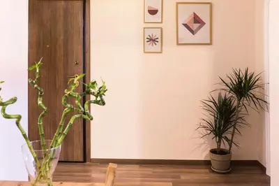 a hallway with potted plants and a door at Luxury Apartment with Jacuzzi Close to Acropolis - Living Stone Zircon in Athens