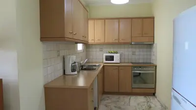 a kitchen with wooden cabinets and a sink and a microwave at Modern apartment near Acropolis peaceful location. in Athens