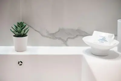 a white bathroom with a plant on a counter at Athena B&B in Athens