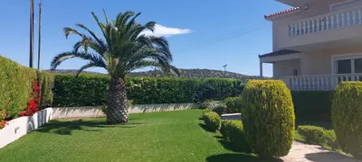 a palm tree in a yard next to a house at Evelina's suite in Artemida