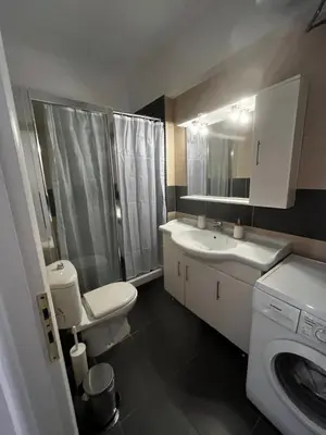 a bathroom with a toilet and a sink and a washing machine at ALKYONI in Athens