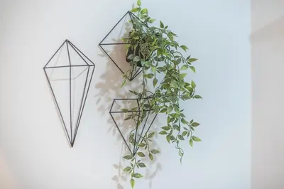 two metal kites hanging on a wall with a plant at The Boutique Studio by CloudKeys in Athens