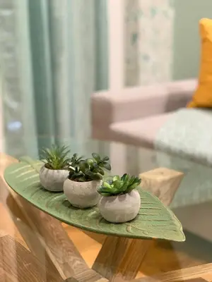 three potted plants sitting on a glass table at Cozy and Chic apartment in the Center, 5 min Subway in Athens