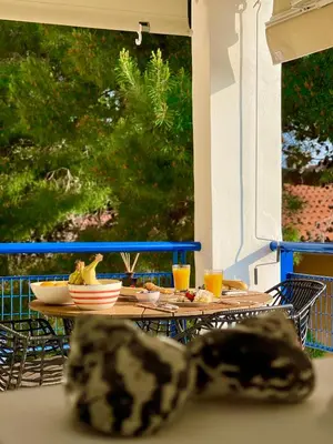 a black and white dog laying on a table at Sparkling dream in Saronida