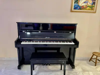 a black piano is sitting in a room at Flisvos Elite Seafront Luxury Apartment in Athens