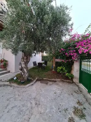 a tree in front of a house with pink flowers at Semelia's Guest house in Spáta