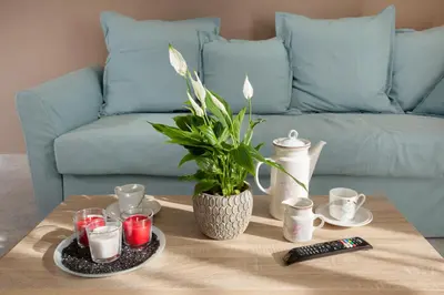 a coffee table with a vase and a remote control at Διαμερίσματα στο Δυτικό Μοσχάτο in Piraeus