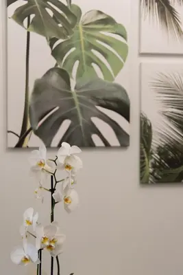 a vase with white flowers in front of three paintings at MEDLUXE COMFORT APARTMENT in Athens