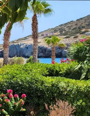 a group of palm trees and flowers in a garden at Katerina summerhouse in Dhaskalión