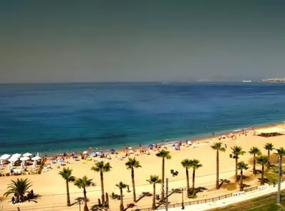 a group of people on a beach with palm trees at The Love suite 1 Athens Riviera in Athens